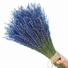 Load image into Gallery viewer, 100g Natural Dried Lavender Flowers Bundles Lavender Buds Freshly Wedding Flowers Decoration Flowers Bouquet  Aromatherapy